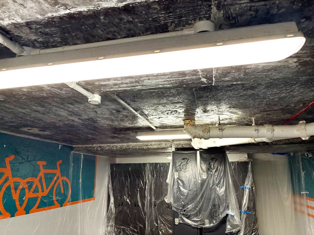 Mould across a basement ceiling