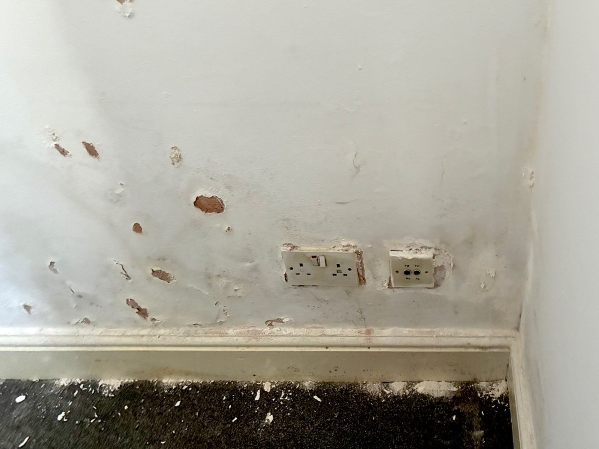 Damp along the bottom of a wall, with blown plaster around the sockets