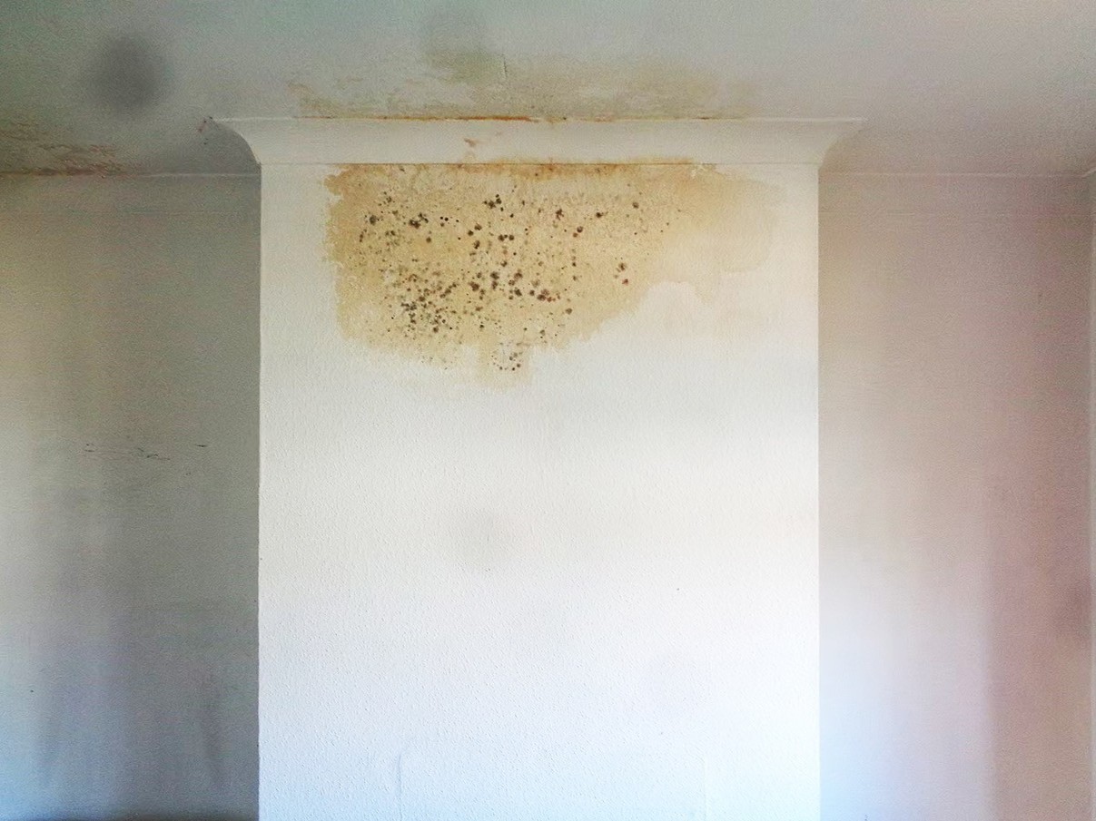 Damp staining and mould on a chimney breast