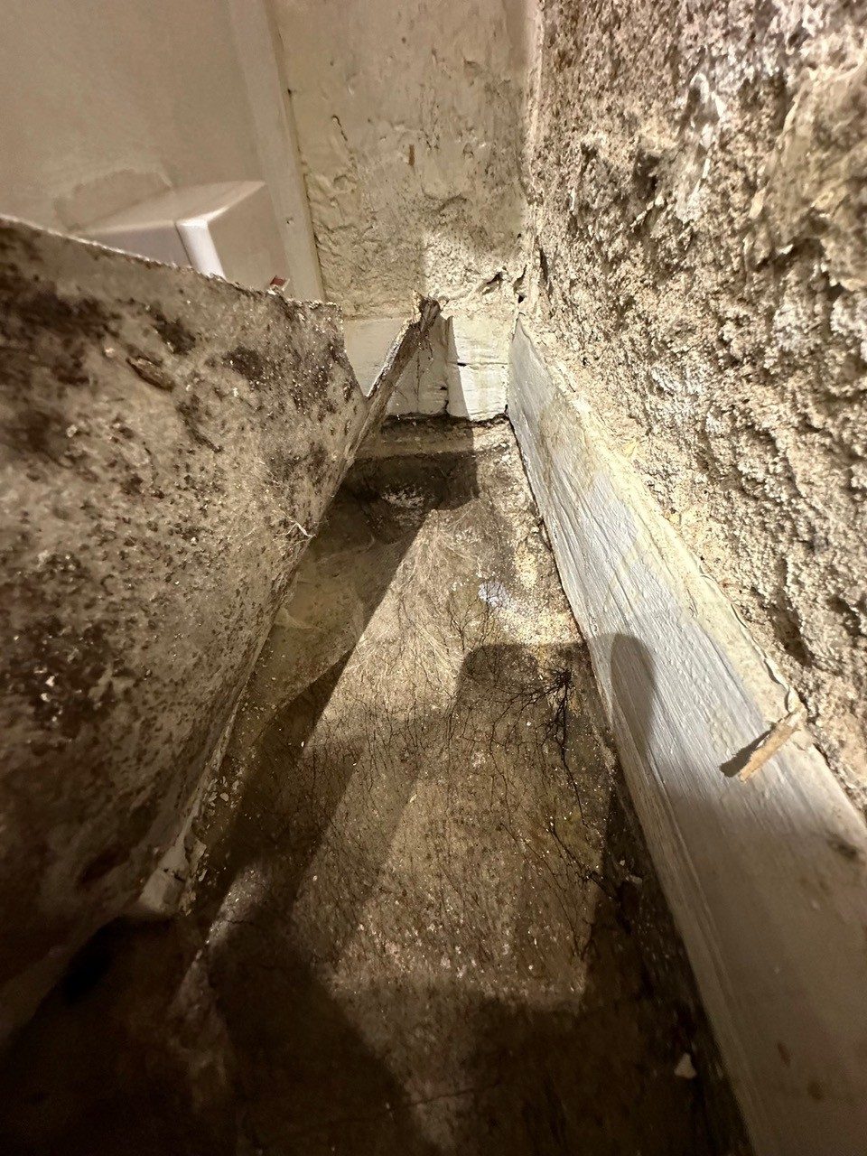 Wet rot on timber boarding
