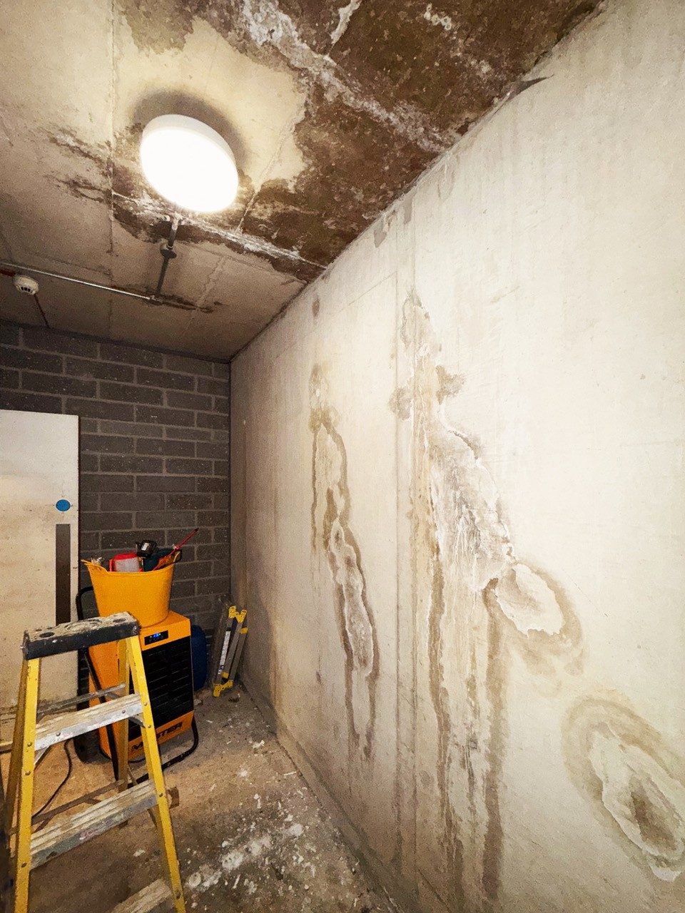 Water staining running down a basement wall