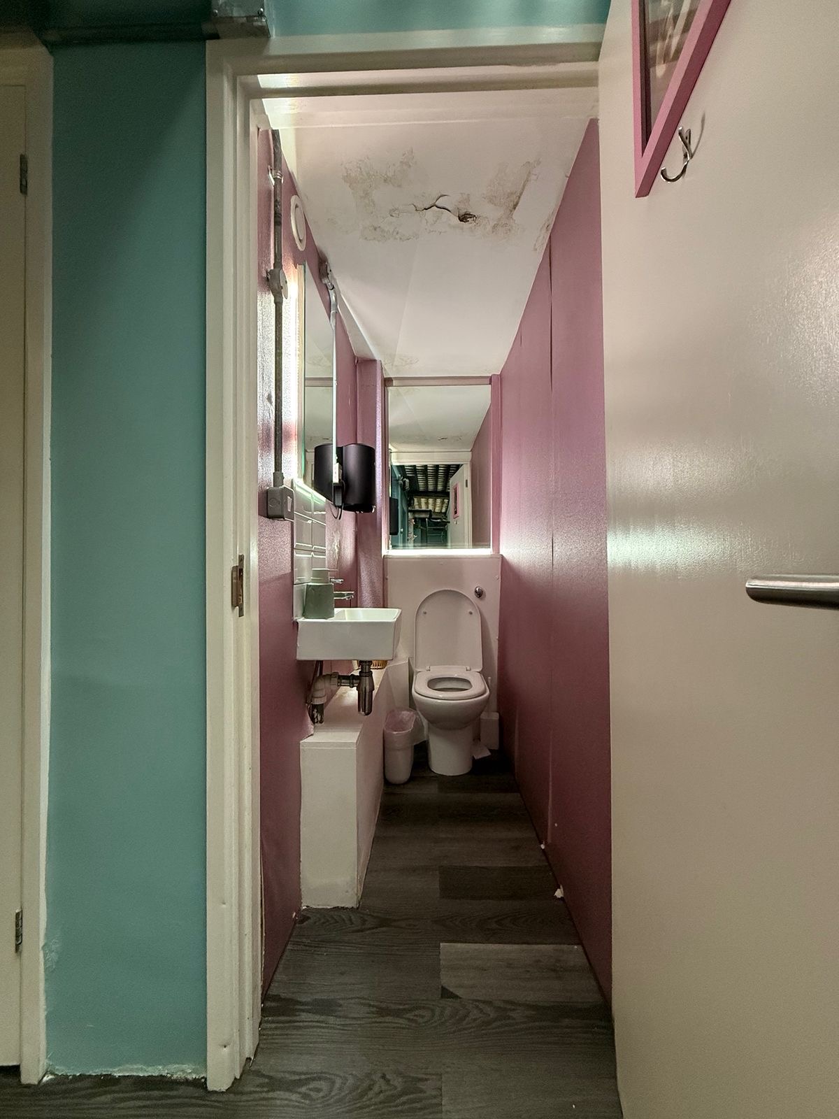 Damp through the WC walls and ceiling before the repair