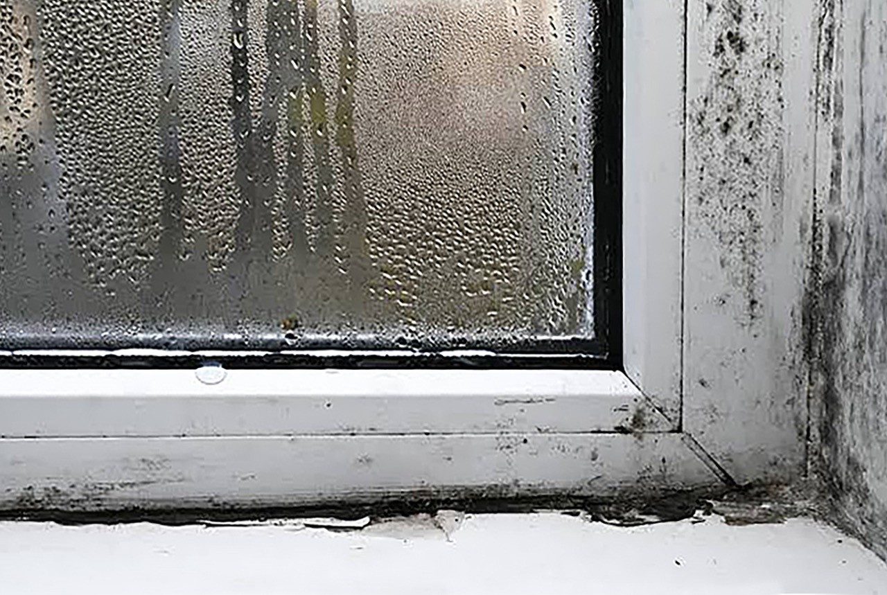 Condensation on a window with black mould along the frame